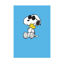 SNOOP 65- SNOOPY - HYPE