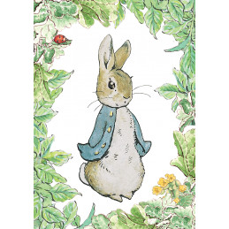 BXF 48 - BEATRIX POTTER - HYPE