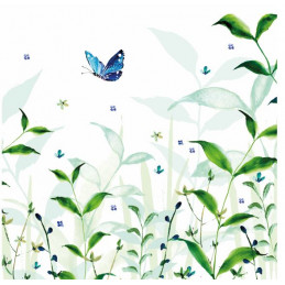 FLORA 14 SP - LOUISE MULGREW