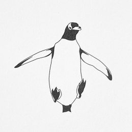PI 019 - PENGUININK