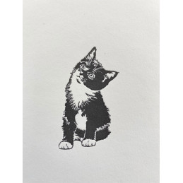 PI 138 - PENGUININK