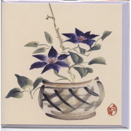 NHM 02 ROSA CENTAFOLIA