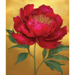 BO 28 - Pivoine Rouge