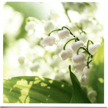 Des cartes de Pâques - Muguet